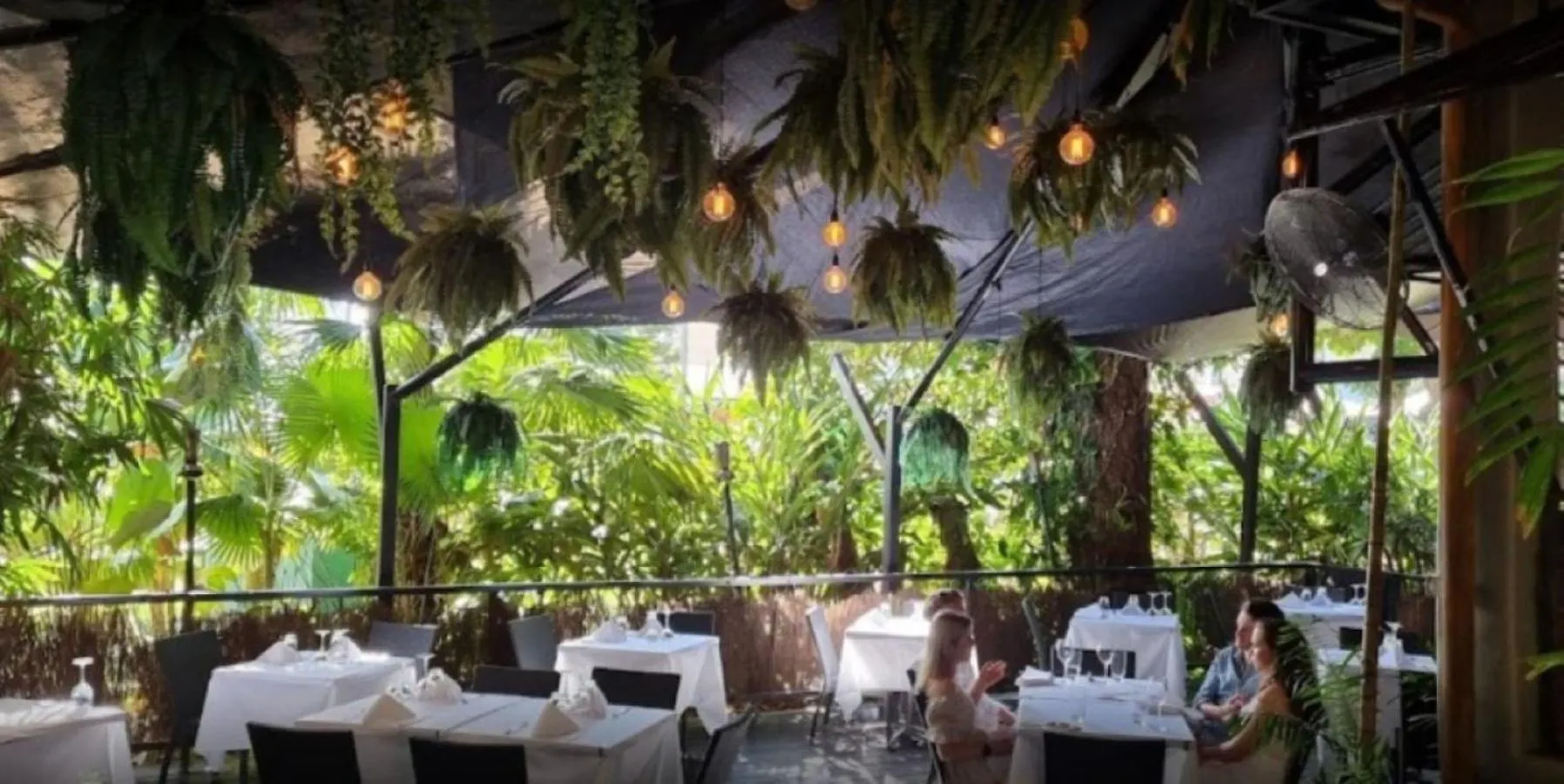 Courtyard On Murphy Port Douglas